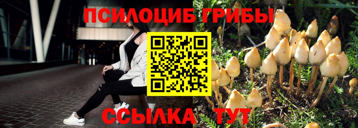 Псилоцибиновые грибы Psilocybine cubensis Добрянка