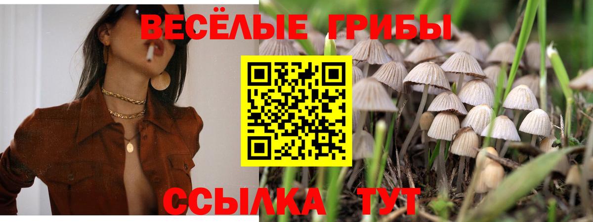 Галлюциногенные грибы мухоморы  Вход с VPN  Добрянка  Галлюциногенные грибы Magic Shrooms 